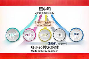 国安新外援古加在足协注册名为“贡萨洛”，比赛球衣名仍为古加